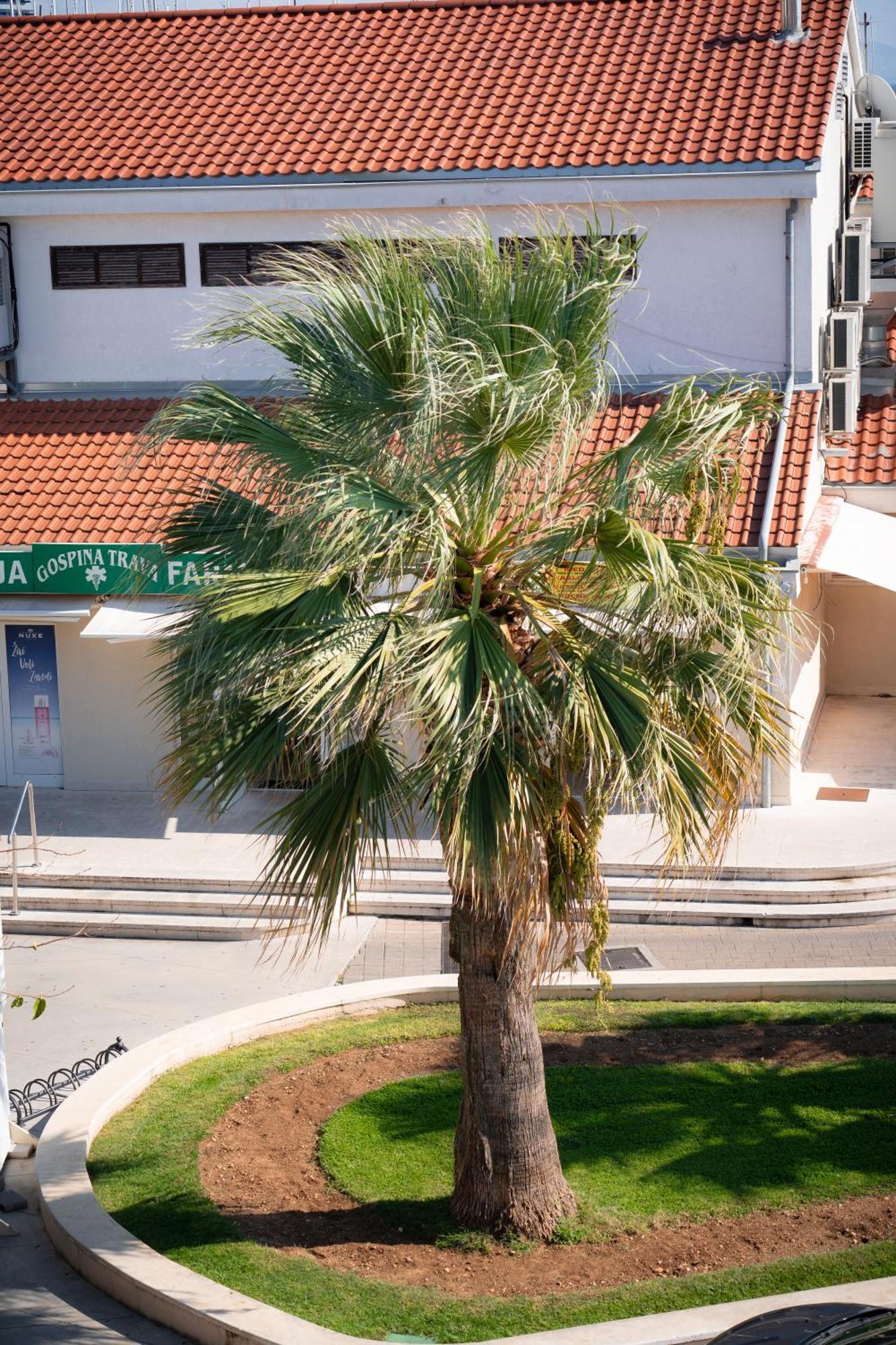 Apartments Centar Vodice Exterior foto
